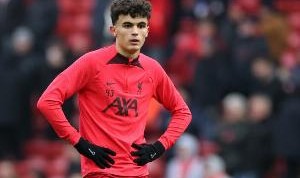 每日邮报：巴伊切蒂奇即将伤愈回归，将先为利物浦U21出场比赛